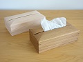 Tissue case